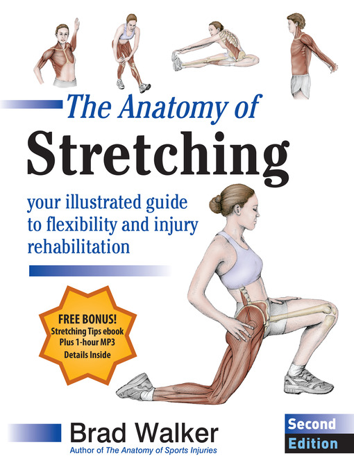 Title details for The Anatomy of Stretching by Brad Walker - Wait list